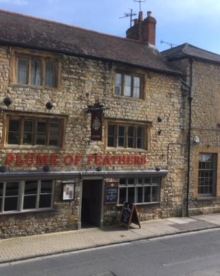 The Plume of Feathers