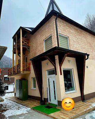 Lily Apartmani Brzece