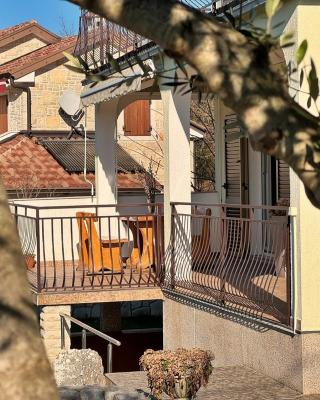 Apartments Pavle