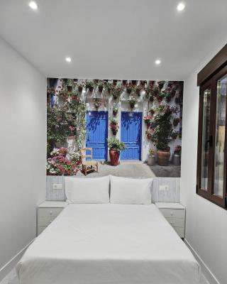 Nueva PENSION CIBELES