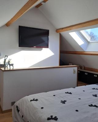 Au Sarseyis - studio d'hôtes - studio équestre
