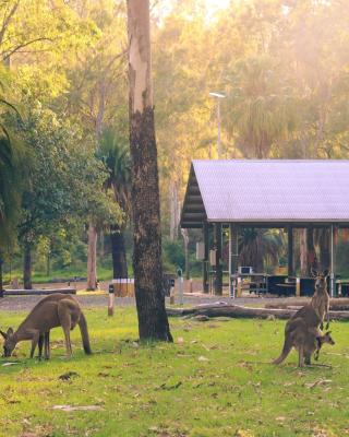 BIG4 Breeze Holiday Parks - Carnarvon Gorge