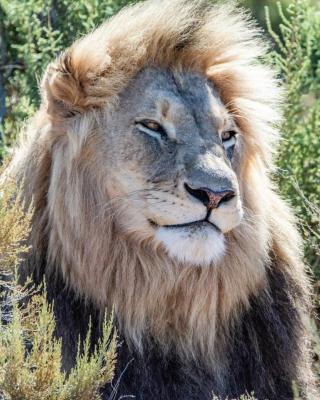 Mont Eco Game Reserve