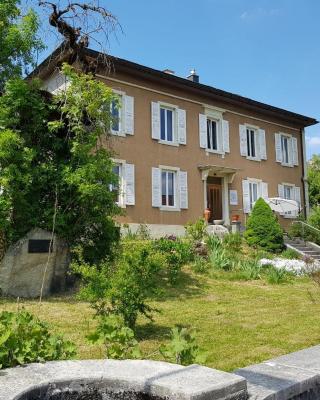Maison 1902