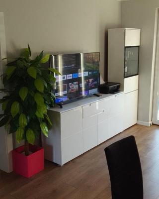 PROMOTION ! 60 m2, 3 rooms, GARDEN !