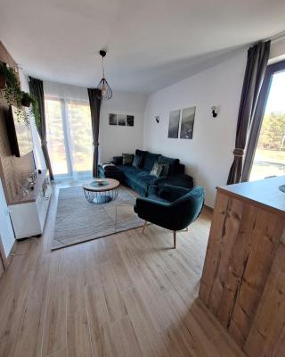 Apartmani Planina Divčibare