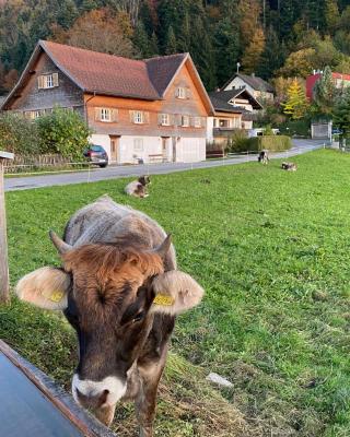Willkommen im Rustico - Deinem Rückzugsort zwischen Bergen und Bodensee