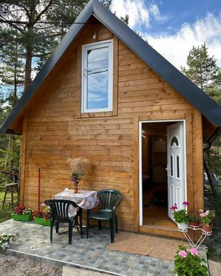 Apartman Jana