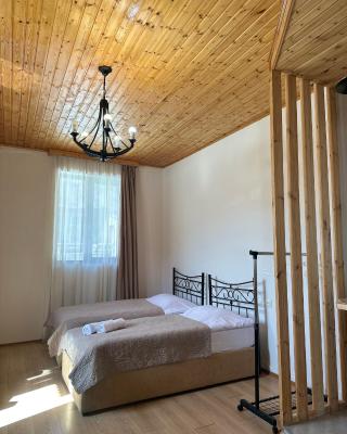 Teona's Guesthouse in Mestia