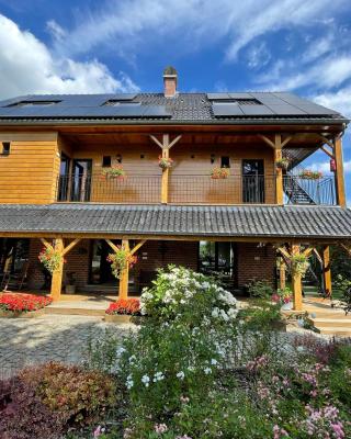 Hallerbos B&B in Bluebell Forest