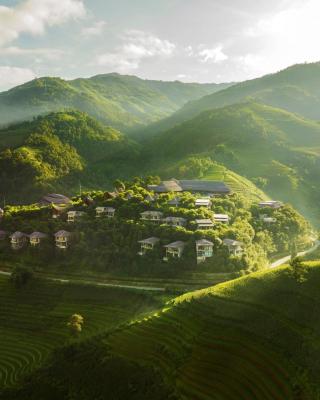 Garrya Mù Cang Chải