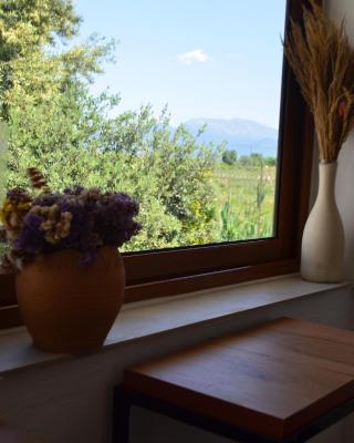 Rustic Tale Guesthouse
