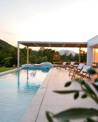 Aristotelia Gi - Premium Luxury Villas with Private Pools
