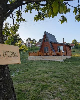 AA Pine vikendica za izdavanje u srcu Zapadne Srbije