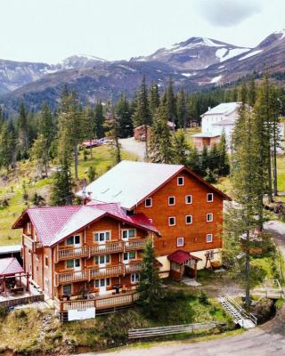 Alpin Eco Chalet & Wellness