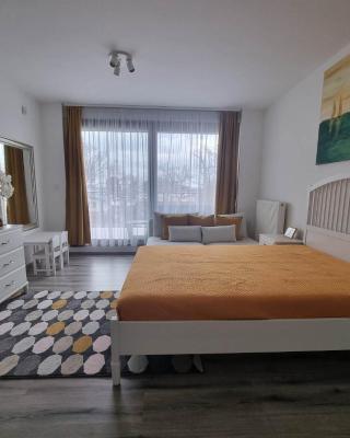 Edison Villa 313