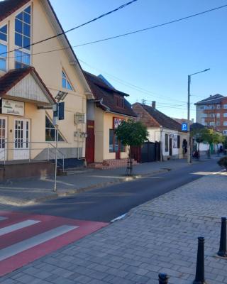 Hangya panzió
