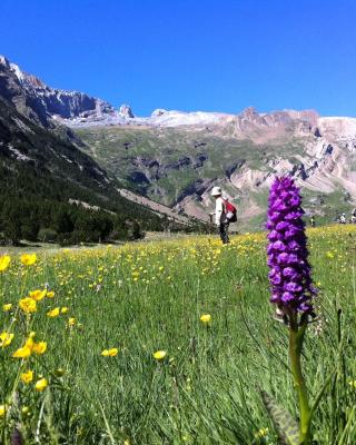 Hostel-Albergue Monte Perdido