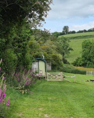 Usk Valley Shepherd's Hut