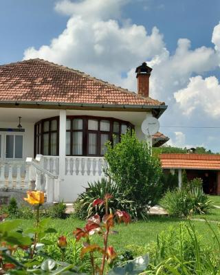 Apartmani Ćosić