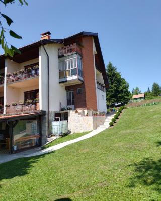 Vila Trtović