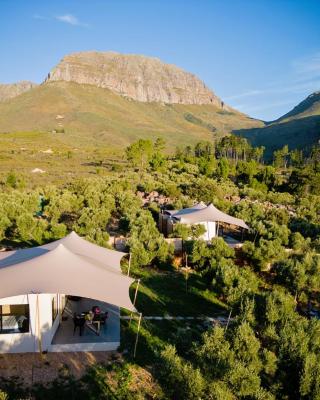 Wagyu Mountain Lodge