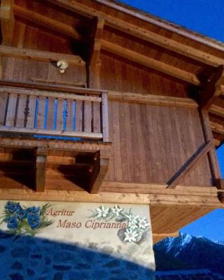 Agritur Maso Ciprianna B&B