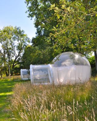 Noortweghe GLAMPING