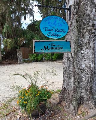 The Three Sisters - Pelican Crystal River FL