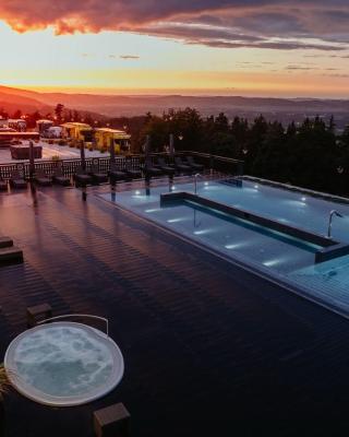 Hotel Seidorf