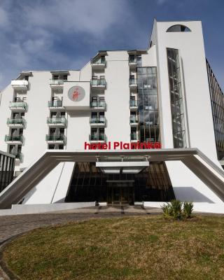 Planinka