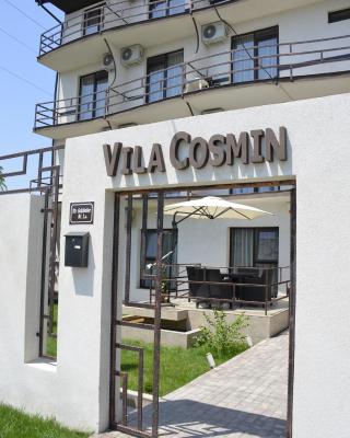 Vila Cosmin