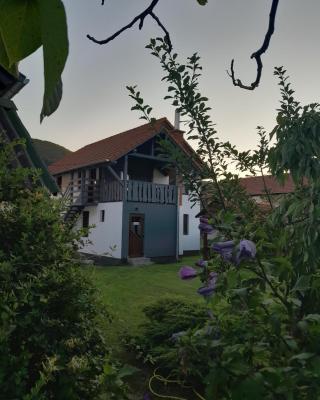 Apartamente Ambrus Praid