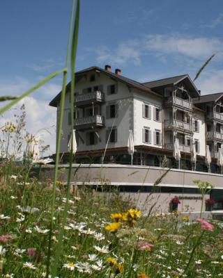 The Alpina Mountain Resort