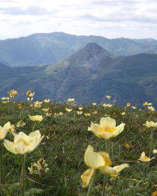 VVF Le Lioran Les Monts du Cantal