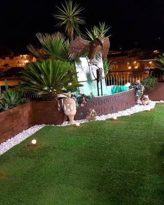 B&B Panoramic