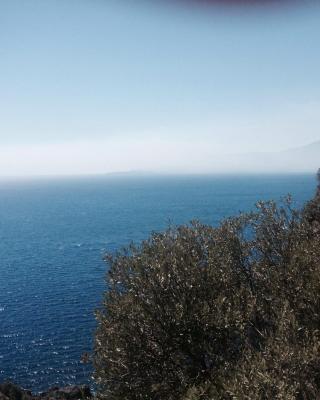 La Bouganville