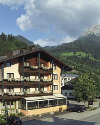 Hotel Alpina