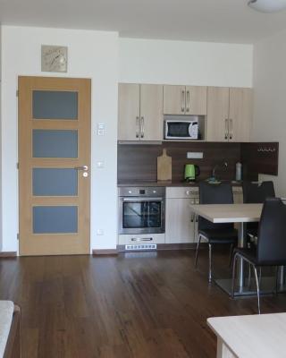 Apartment Medvědín 87