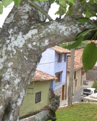 Casa Azul Rodiles