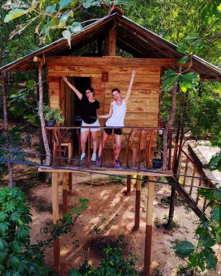 Angry Birds Tree house