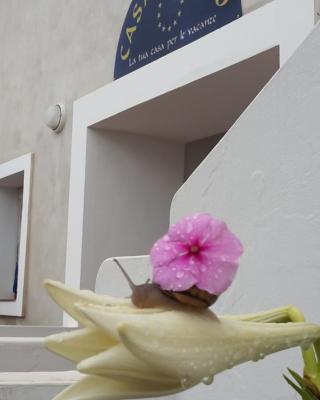 Hotel Residence Il Mulino