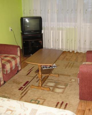 Apartment on Vasylya Chervoniya 67