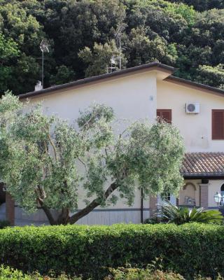 B&B Cavalieri