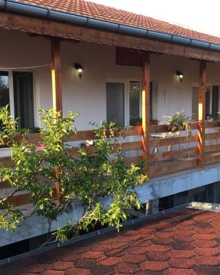 Guest House Pri Germanetsa