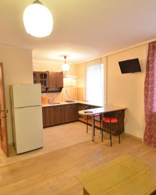 Cozy studio apartment on Sadovaya