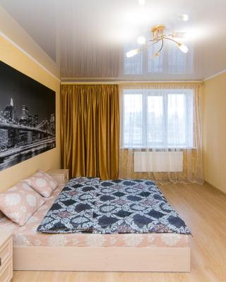 VIP Apartment on Novomestenskaya