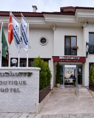 Blueberry Boutique Hotel