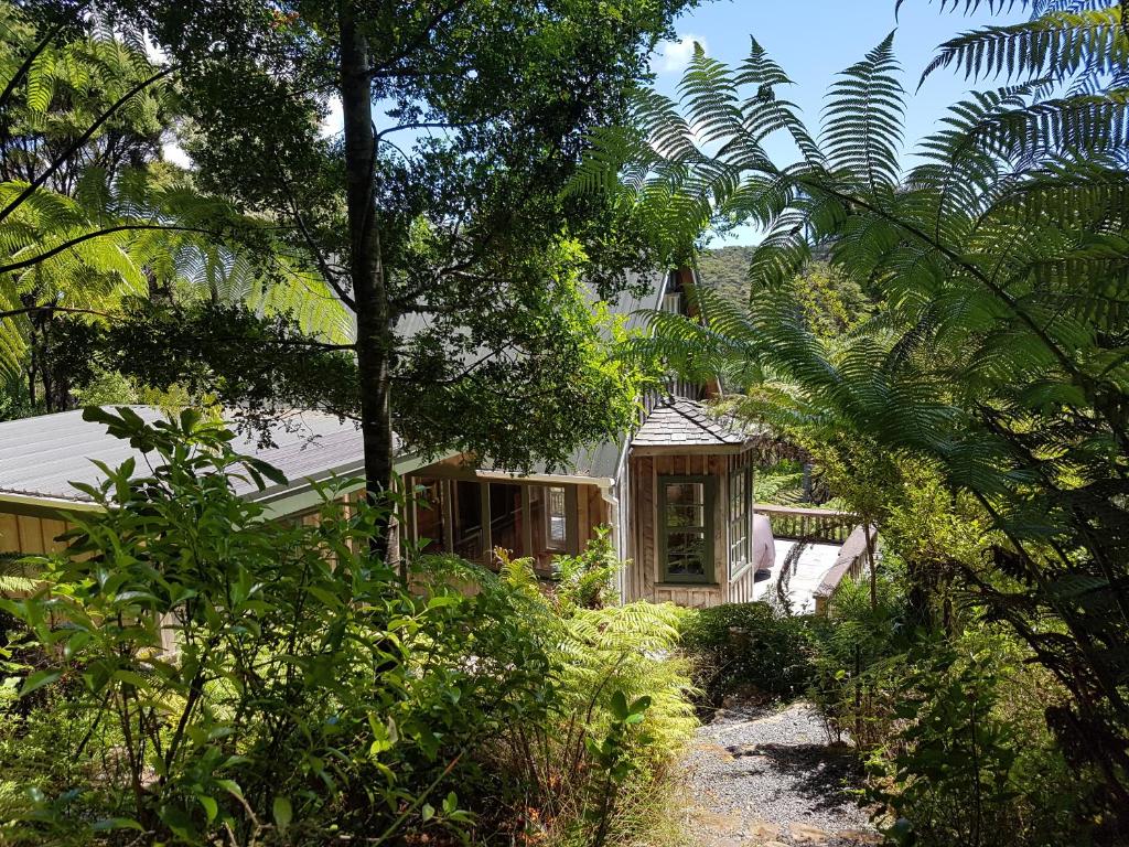 大堡礁岛Whalers Cottage的树林中间的房子