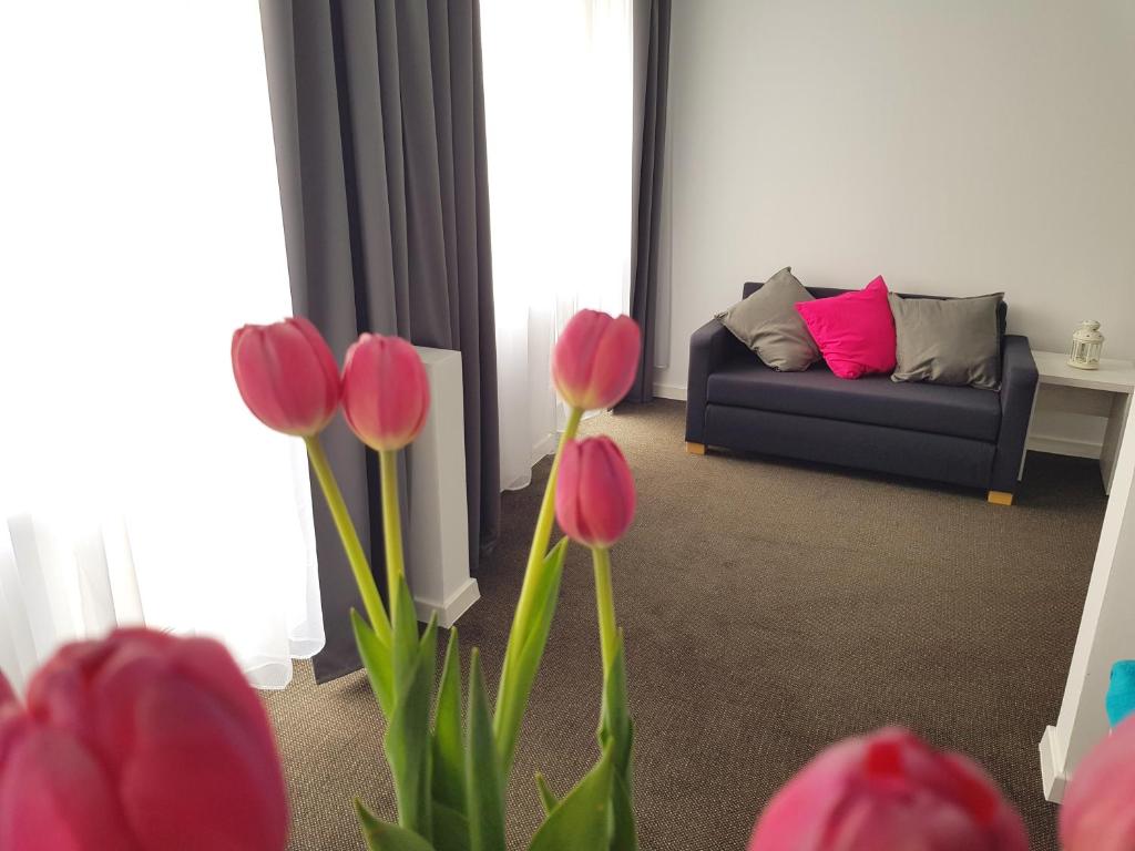 米兹多洛杰Villa Julia的客厅,沙发前有红色郁金香